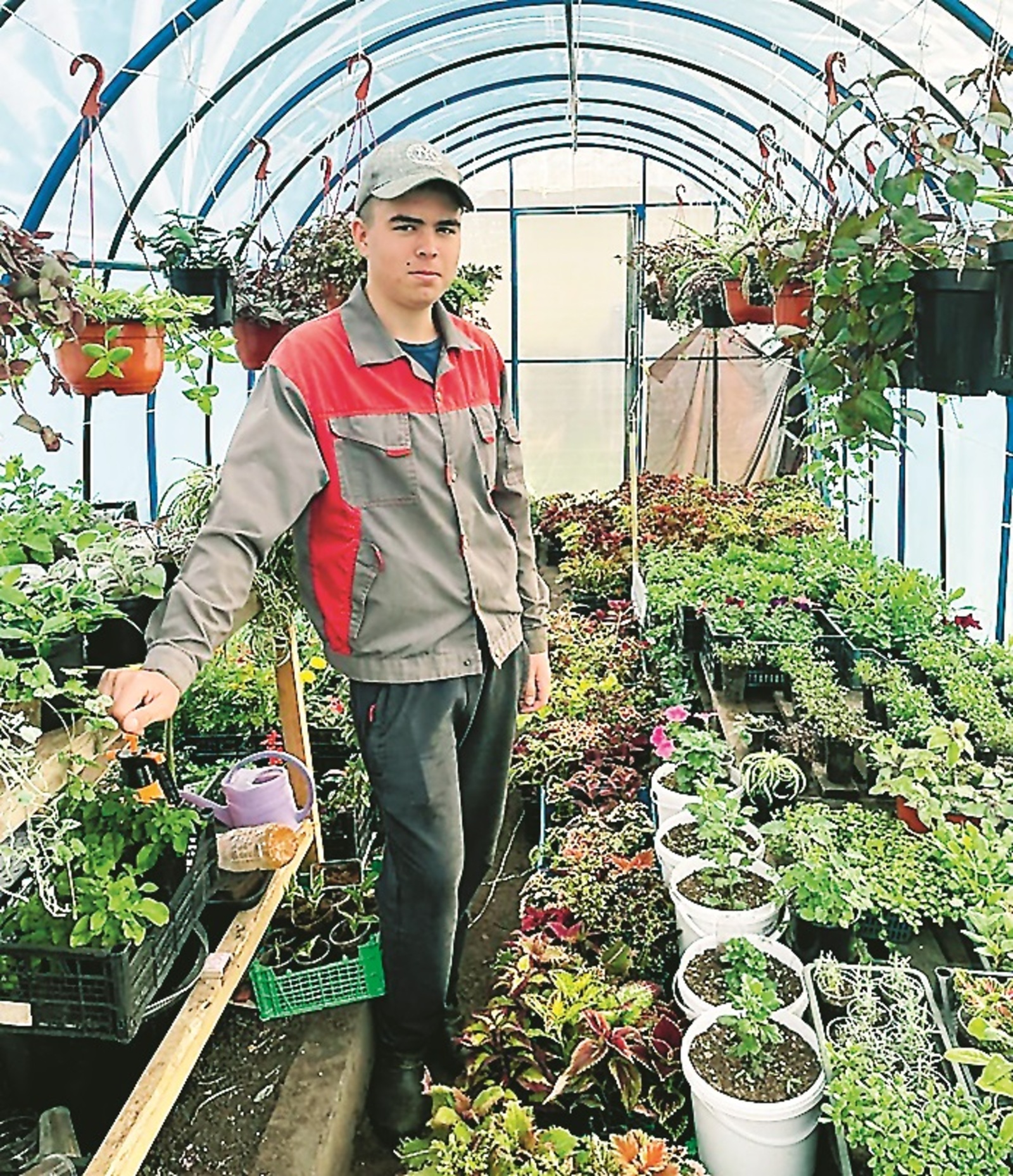 Григорийҙан ғына һатып алалар