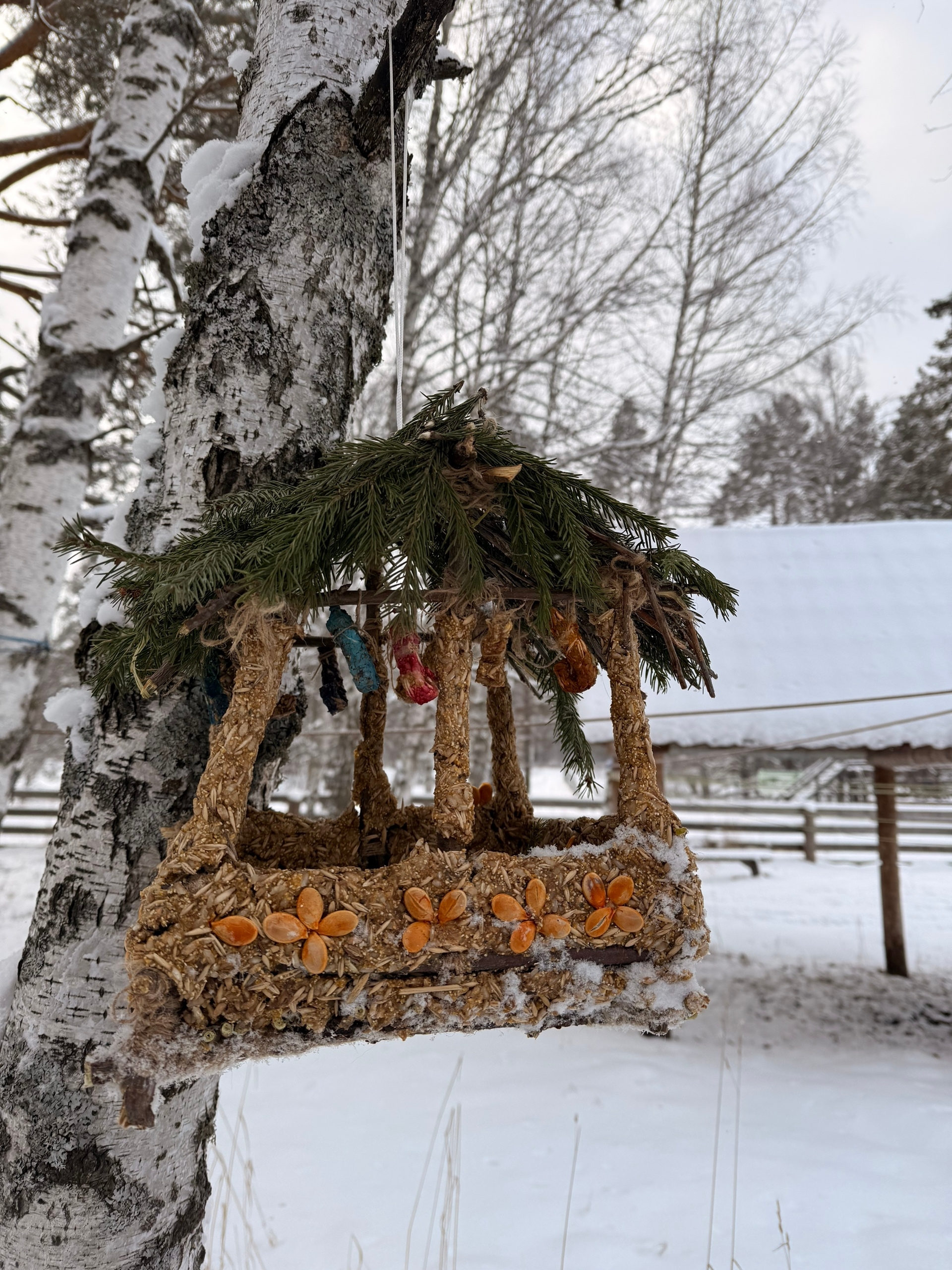 Ҡоштарға - Яңы йыл тағараҡтары